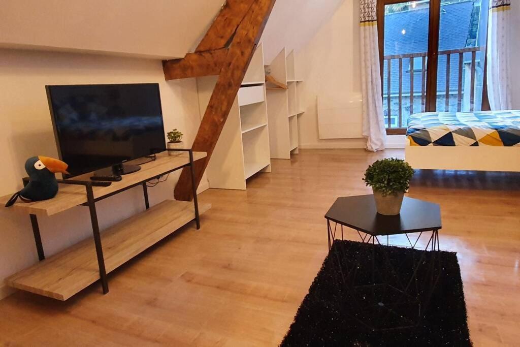 Hyper Centre Apartment Lourdes